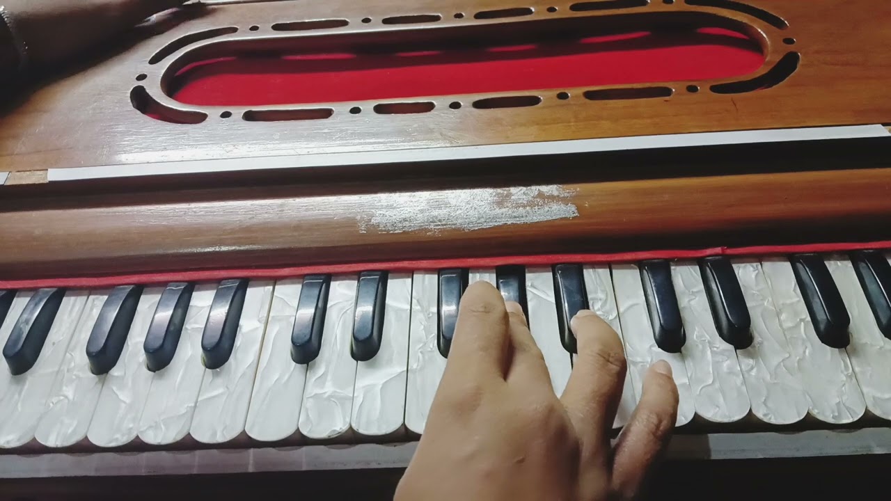 ওই ঝিনুক ফোঁটা ও সাগর বেলায়🌸🌷#harmoniumcover #howtoplayharmonium #harmonious #foryou #music #video 