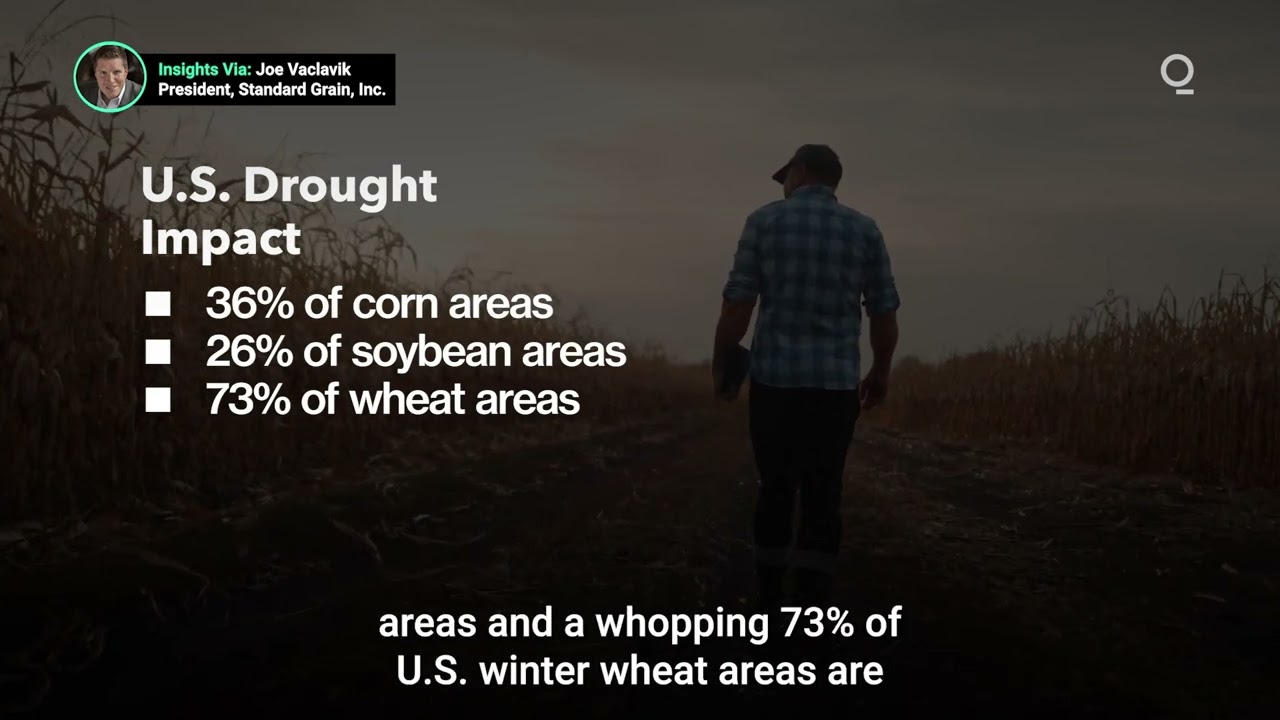 Grain Markets Shift Focus to U.S. Growing Season