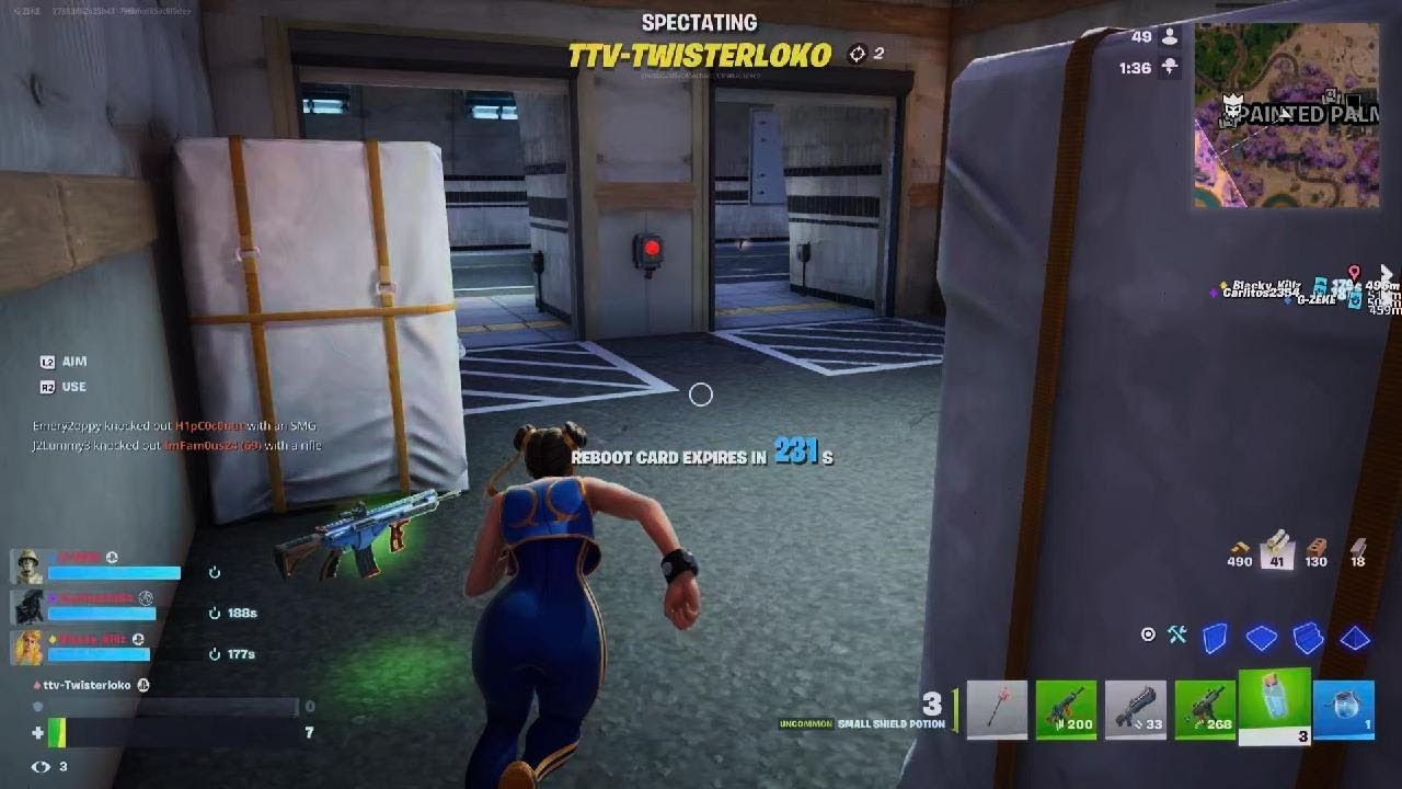 Fortnite Gameplay Victory