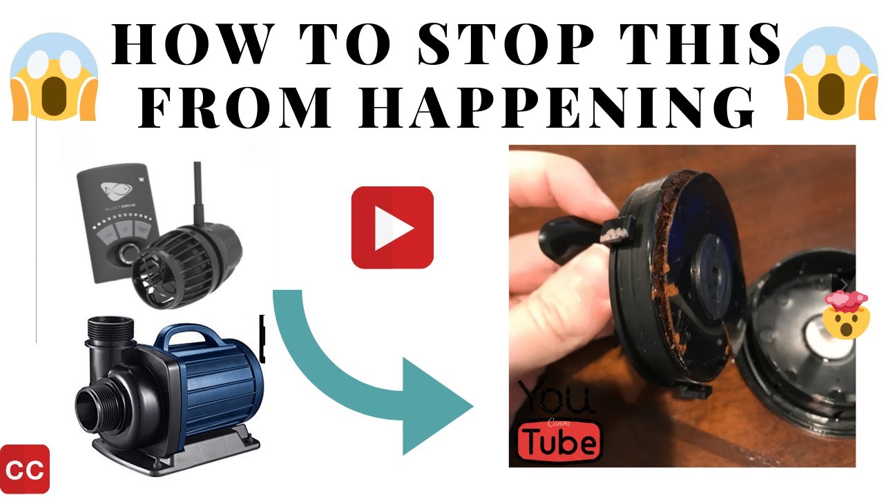 Proper Way To Clean Powerheads & How To Stop Killing Vortech Pumps