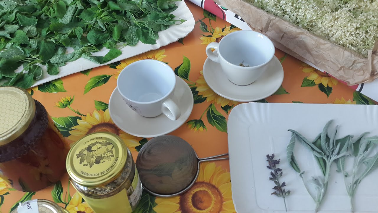 Preparazioni erboristiche: infuso e decotto
