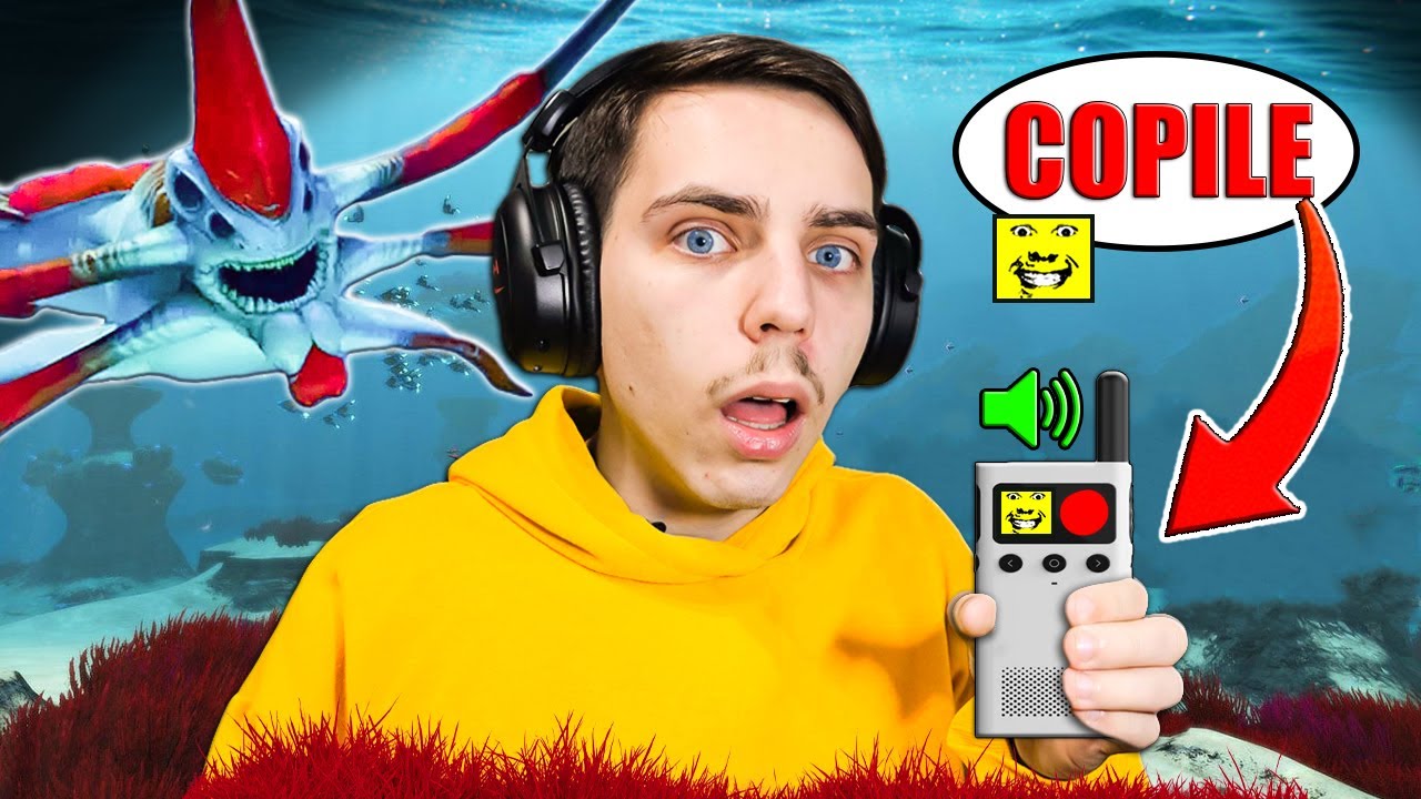 Am fost SUNAT de *CINEVA* sub APA !