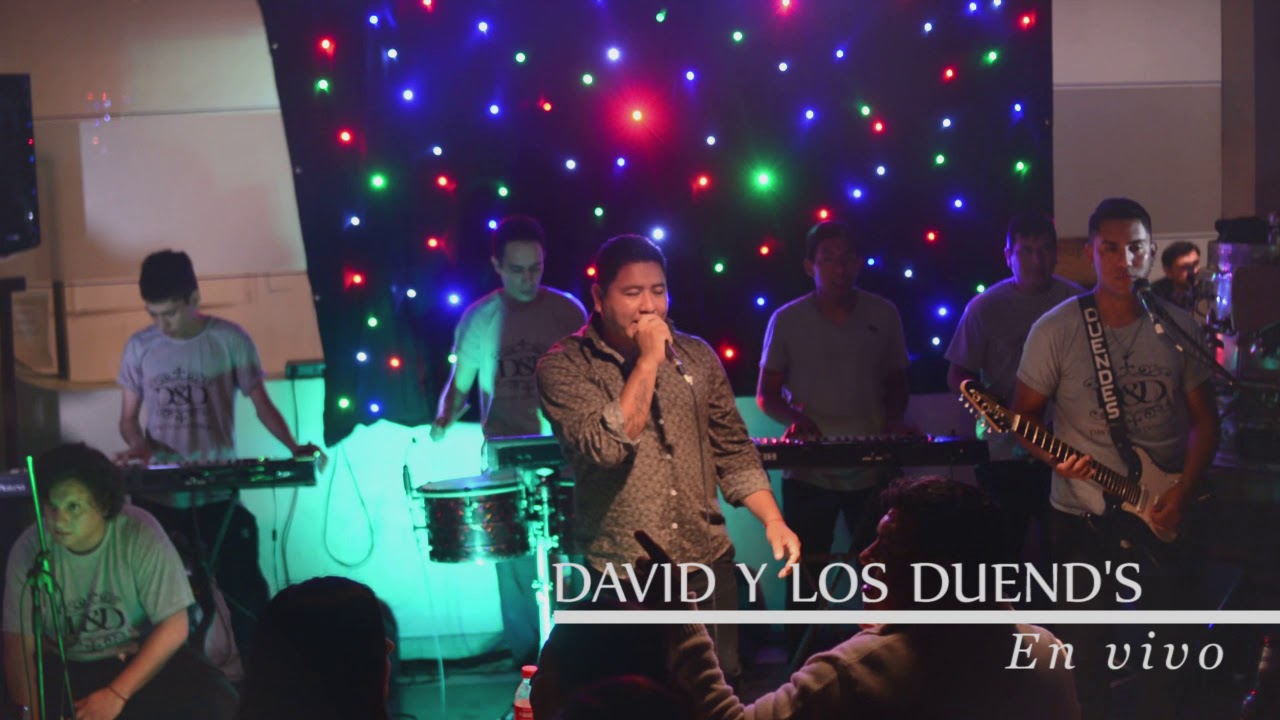 david y los duendes en el espinillo 5
