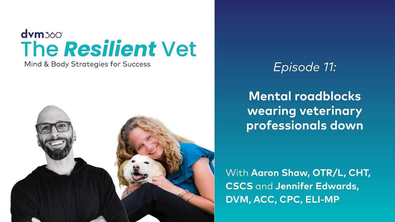 Mental roadblocks wearing veterinary professionals down