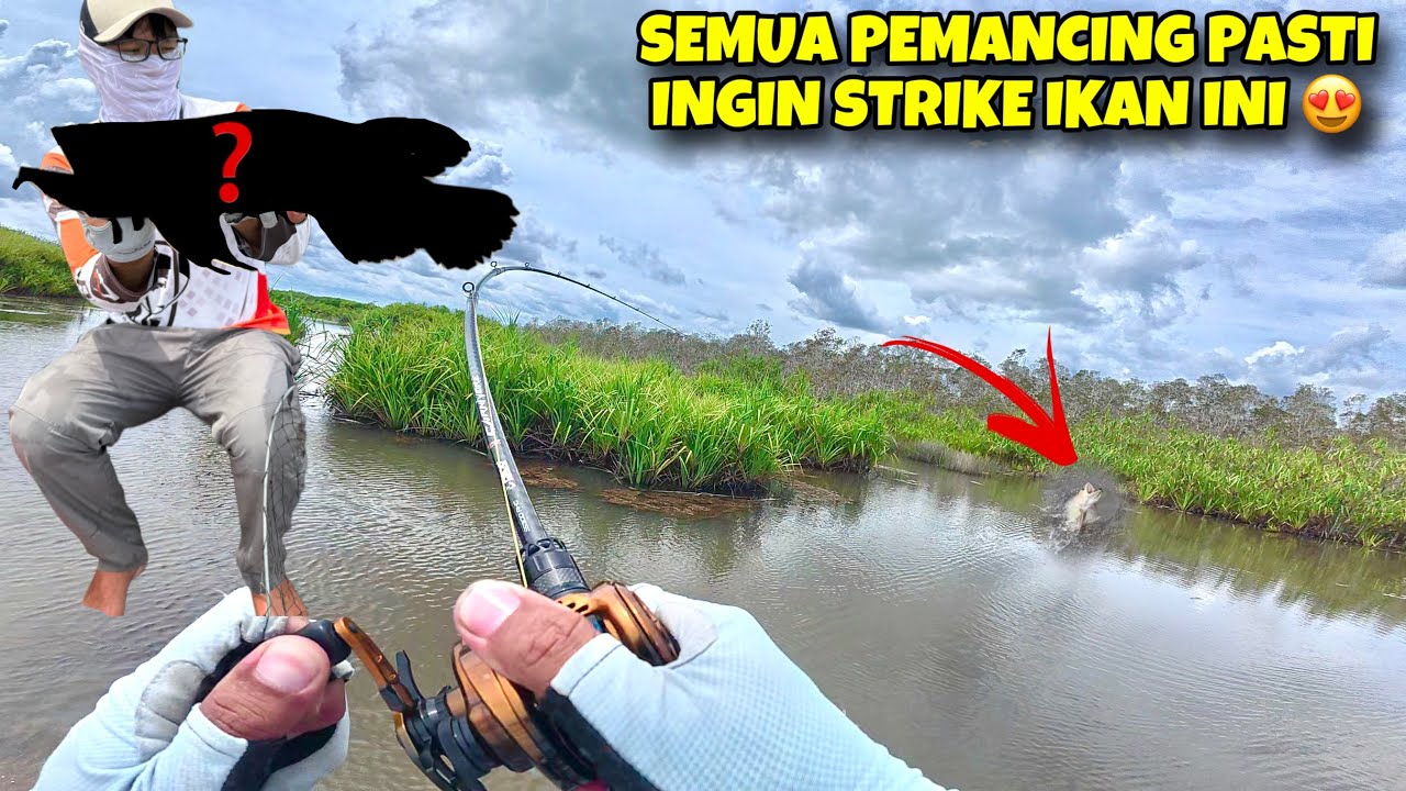 JACKPOT DI LUAR DUGAAN ..!!! TRIP CASTING TOMAN MALAH STRIKE IKAN SULTAN JUTAAN RUPIAH