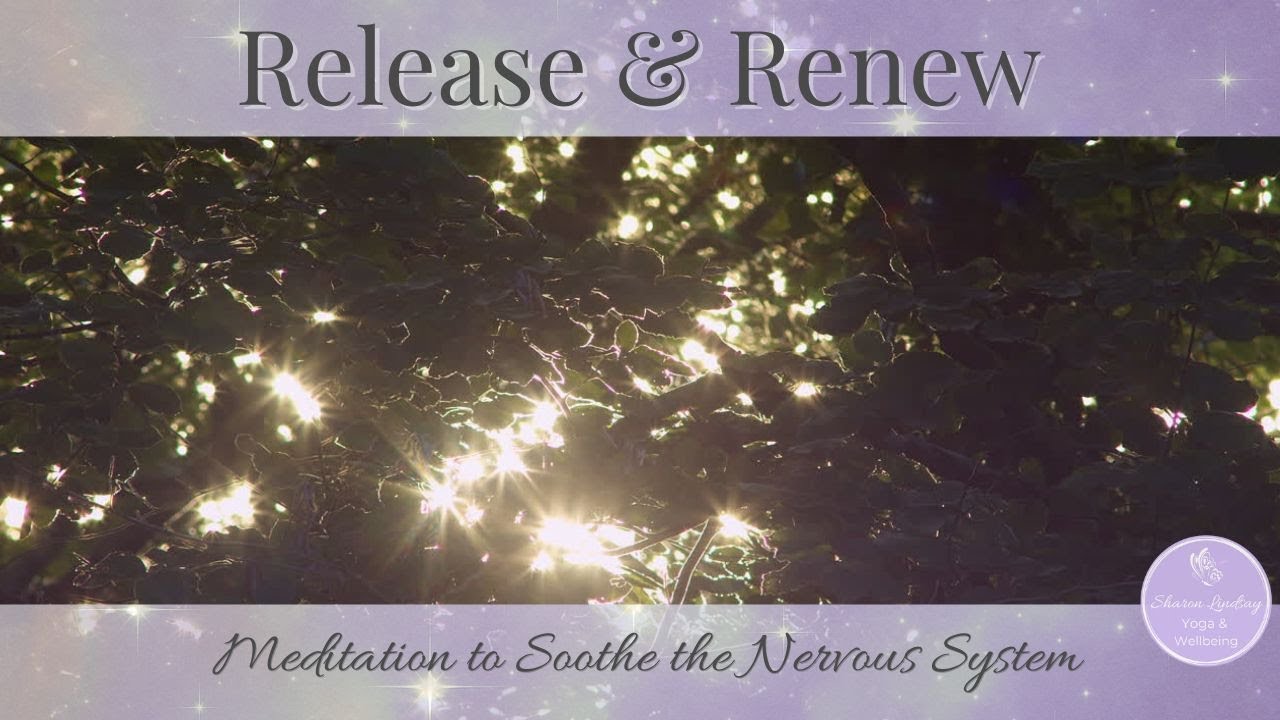 Release & Renew | Guided Body Scan to Calm & Reset (10 Minutes)