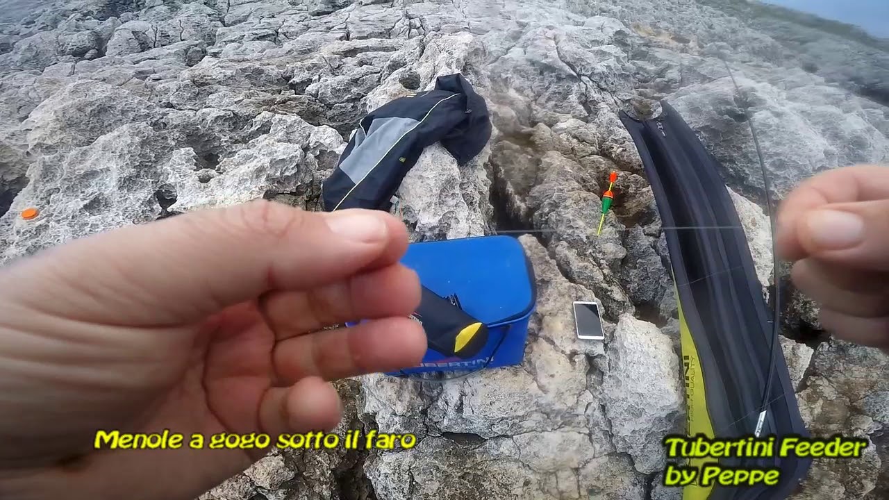 Menole a gogo sotto il Faro di Leuca