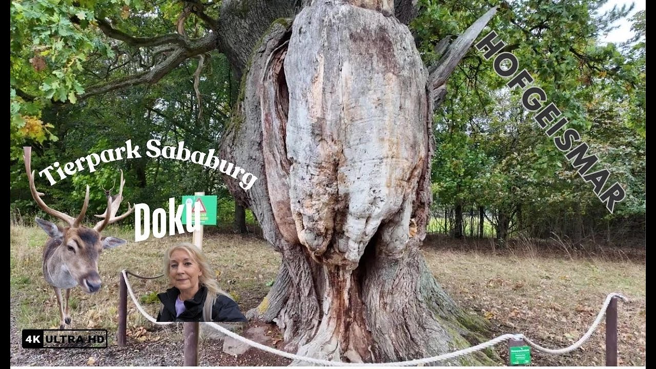TOUR HOFGEISMAR / Teil 1 / Doku / Saburg Wildpark / Urwald Saburg / Weserbergland / 4K