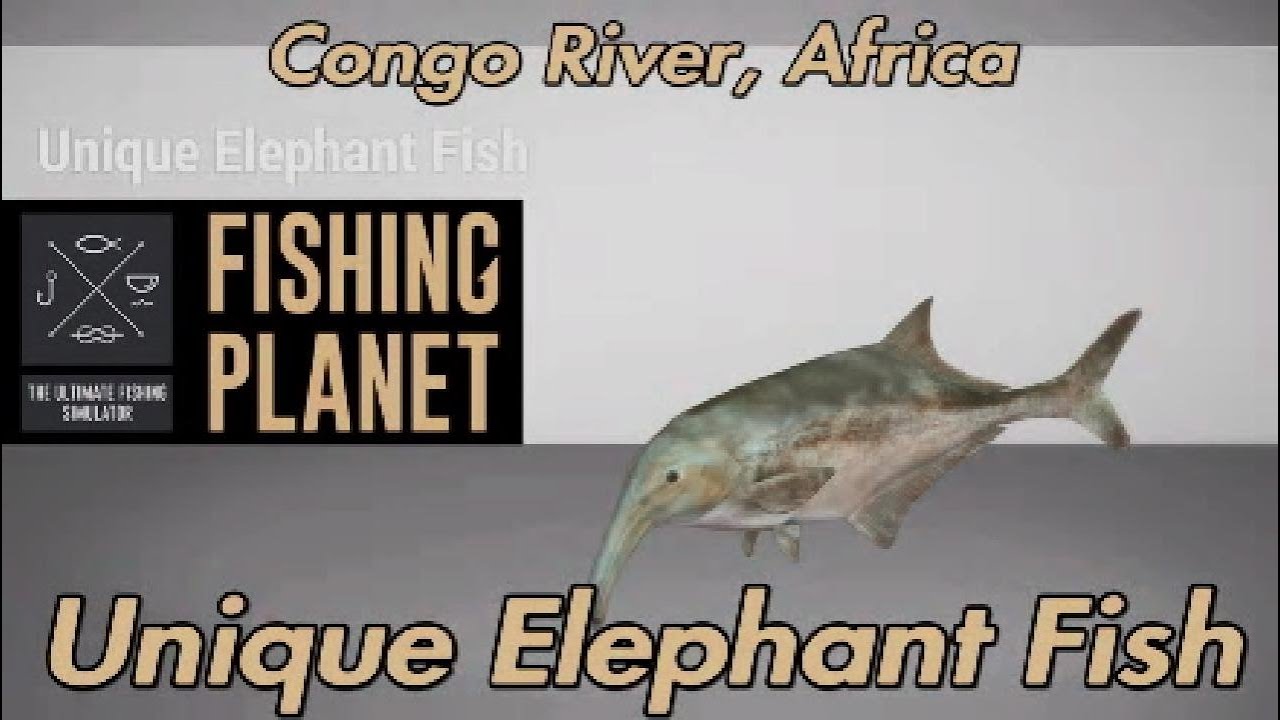 Fishing Planet Unique Elephant Fish Congo River Africa