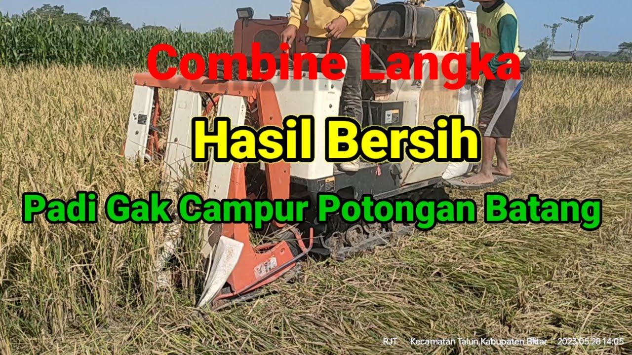 combine langka di Indonesia