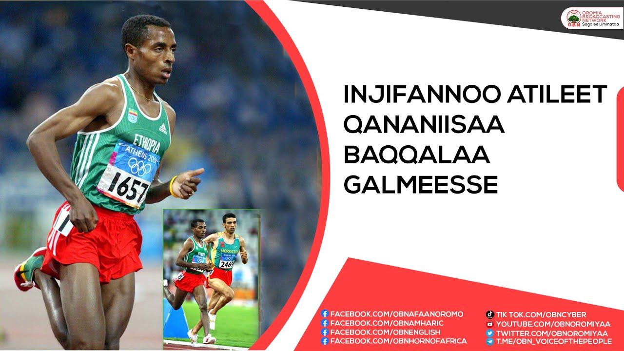 Injifannoo Atileet Qananiisaa Baqqalaa galmeesse.