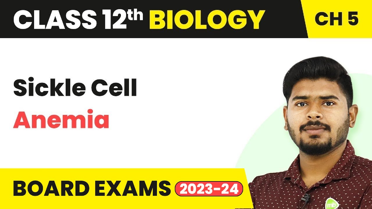 Sickle Cell Anemia - Principles of Inheritance and Variation | Class 12 Biology (2022-23)