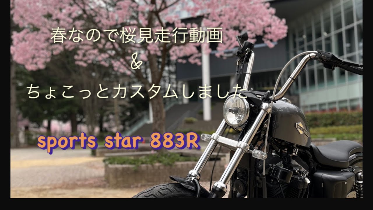 sports ster883Rちょこっとカスタム&お花見走行動画🌸