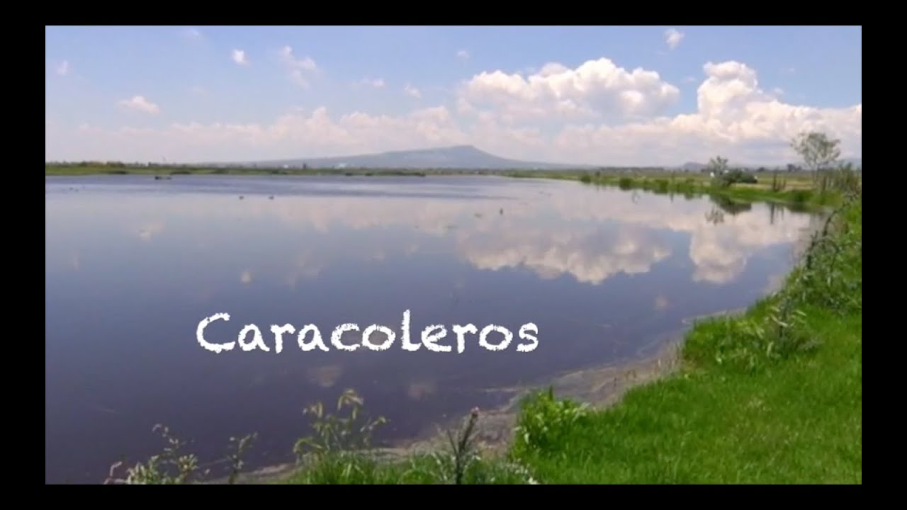Caracoleros, la resistencia biológica y cultural en el Lago de Texcoco