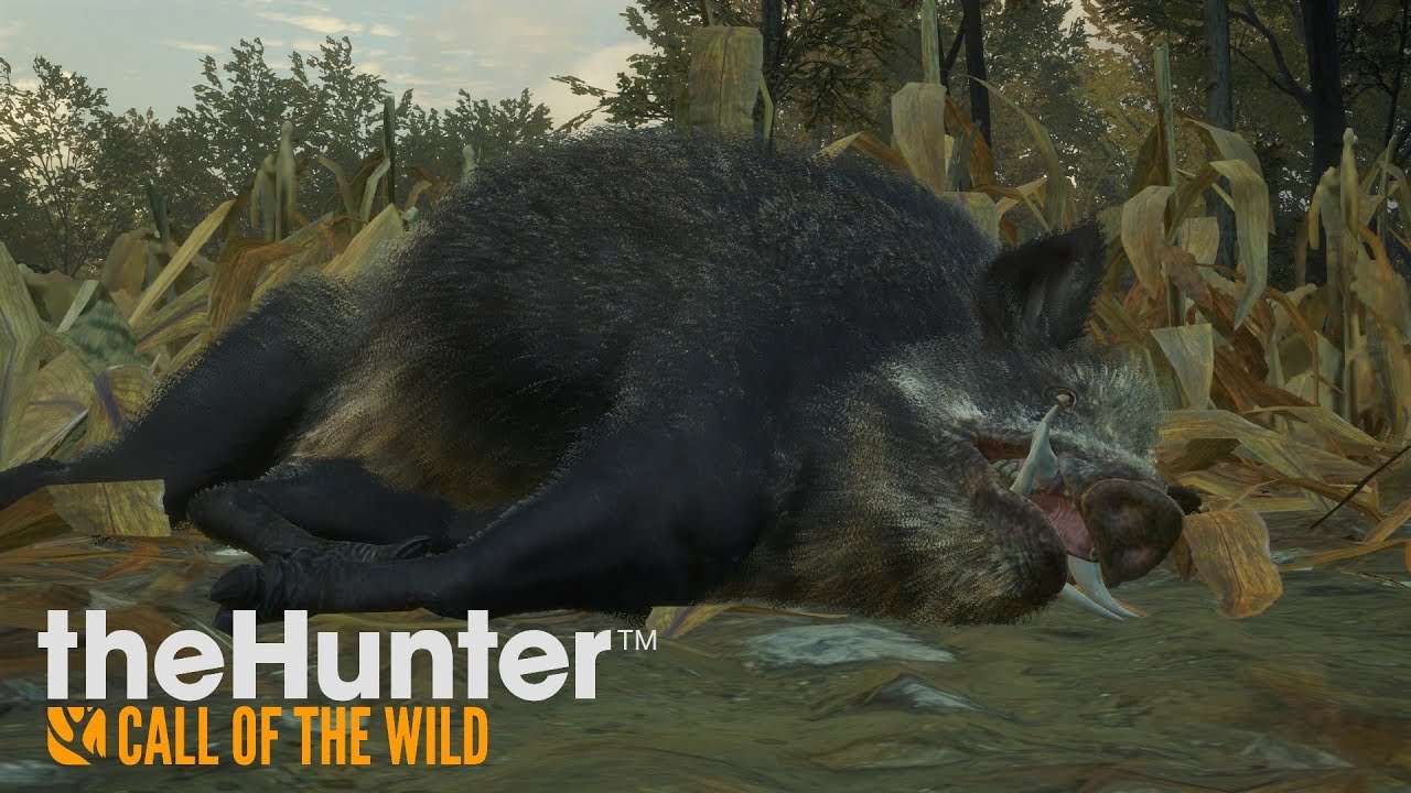 Je Chasse Tout  !!  THE HUNTER CALL OF THE WILD FR