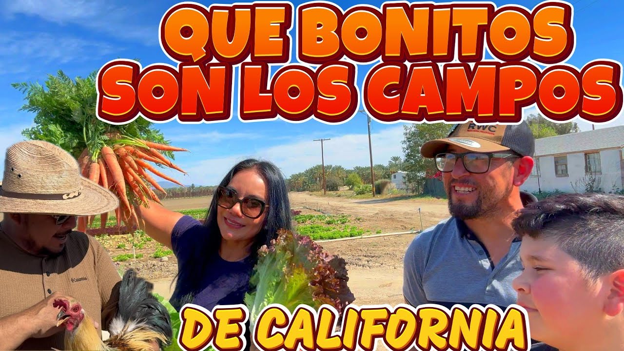 ASI SON LOS COMPOS DE LA AGRICULTURA EN CALIFORNIA
