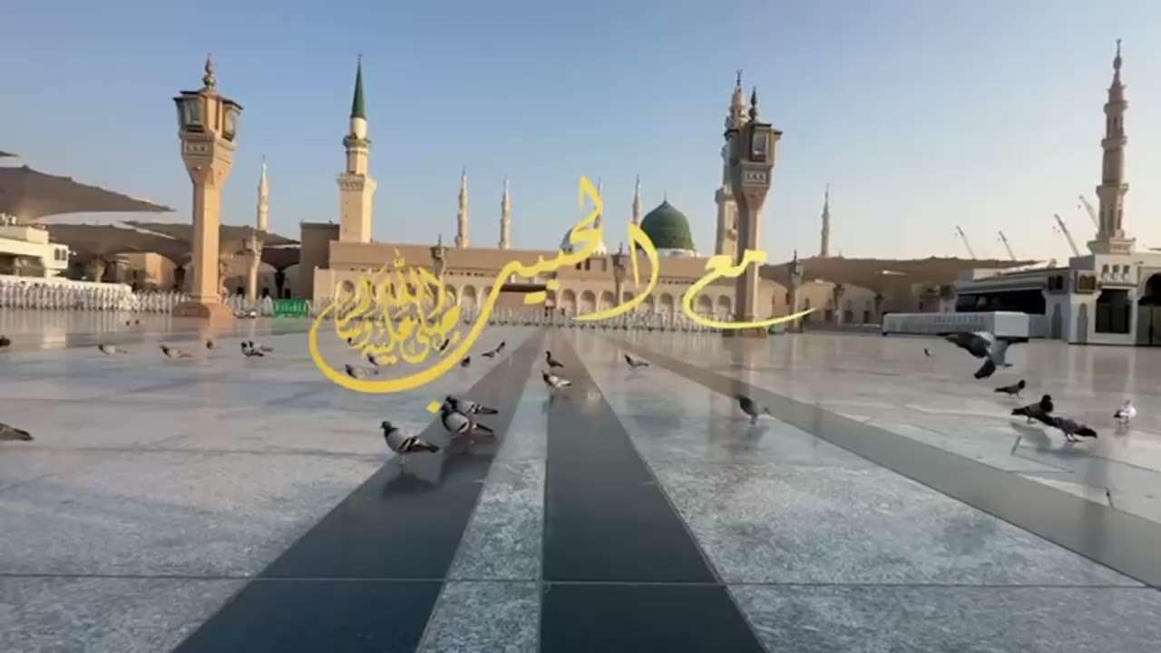 مع الحبيب ﷺ | الحلقة ٧٥ | المدينة بعد الهجرة… كيف حل النبي ﷺ الأزمات التي كانت تهدد المجتمع
