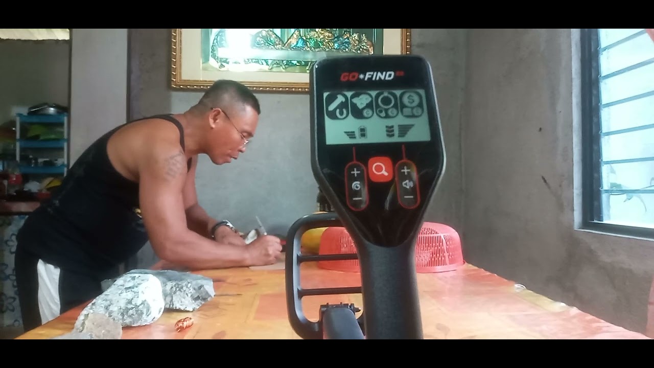 go find 22 detecting test , metal and gold detector.