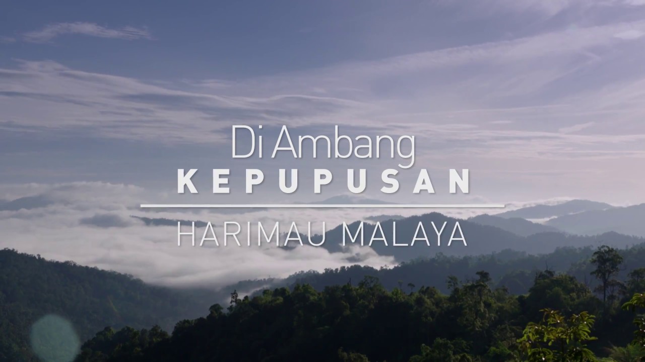 On The Brink Of Extinction - Episode 1: The Malayan Tiger'.