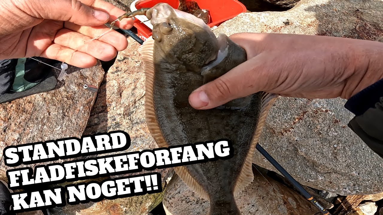 Fladfisk Fiskeri i Gilleleje: De klassiske fladfiskeforgang kan STADIG fange masser af fisk!