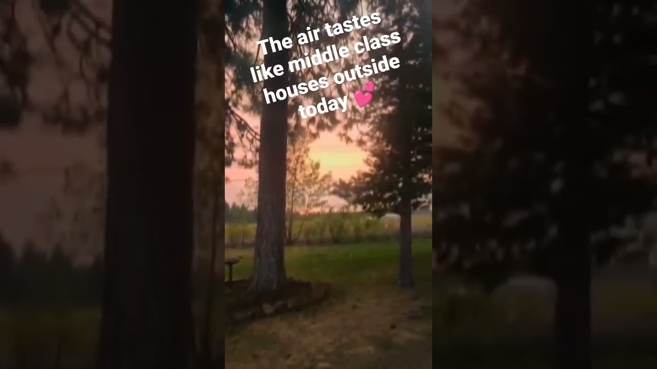Washington State Smoke Season! 💕