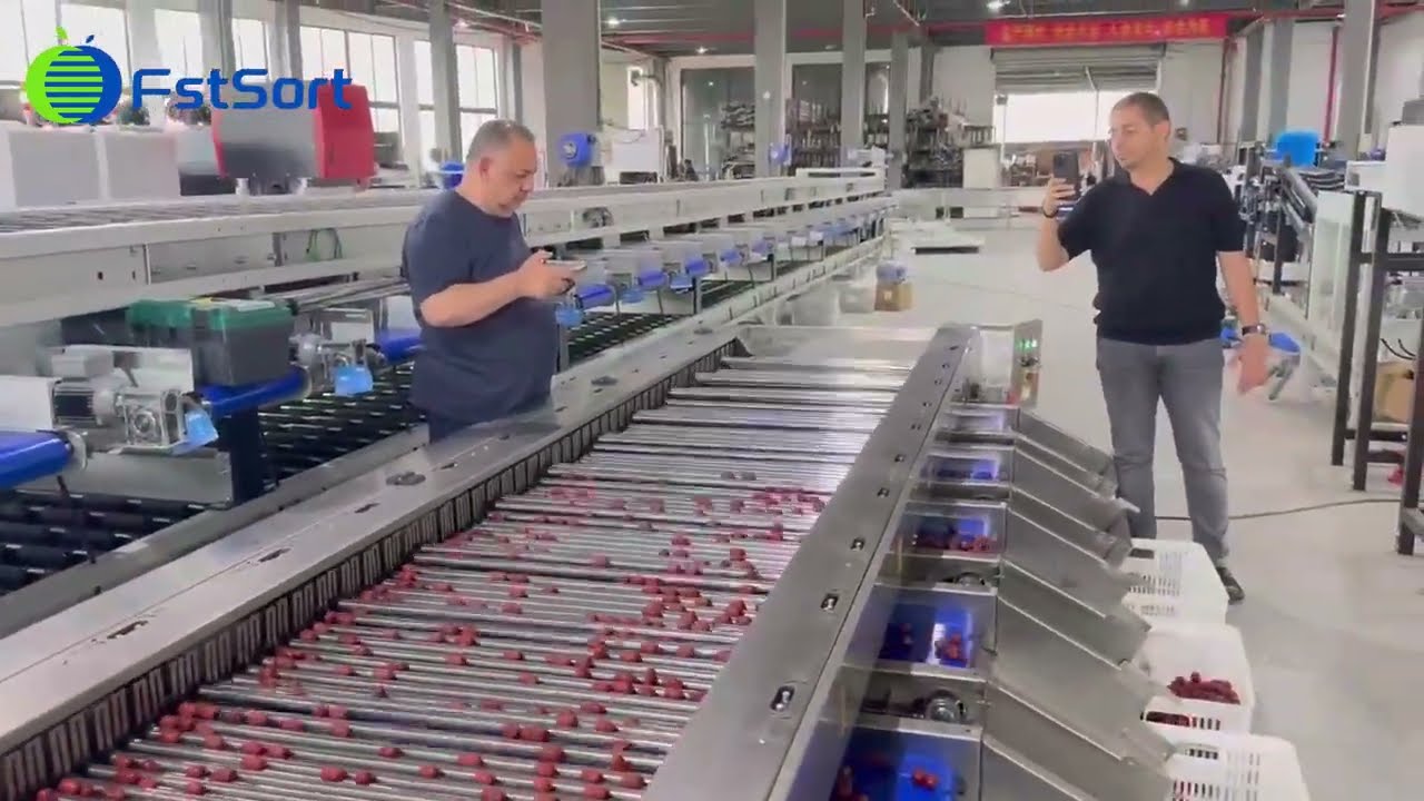 Dates Grading Machine; Dates sorting machine; dates grader