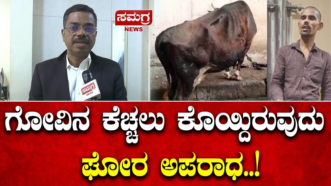 ಗೋವಿನ ಕೆಚ್ಚಲು ಕೊಯ್ದಿರುವುದು ಘೋರ ಅಪರಾಧ..! | Venkatesh Dodderi | Samagra News