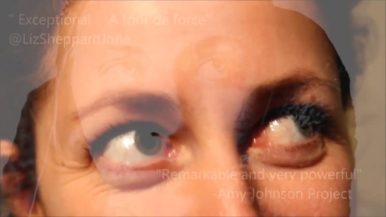 Amy Johnson: Last Flight Out