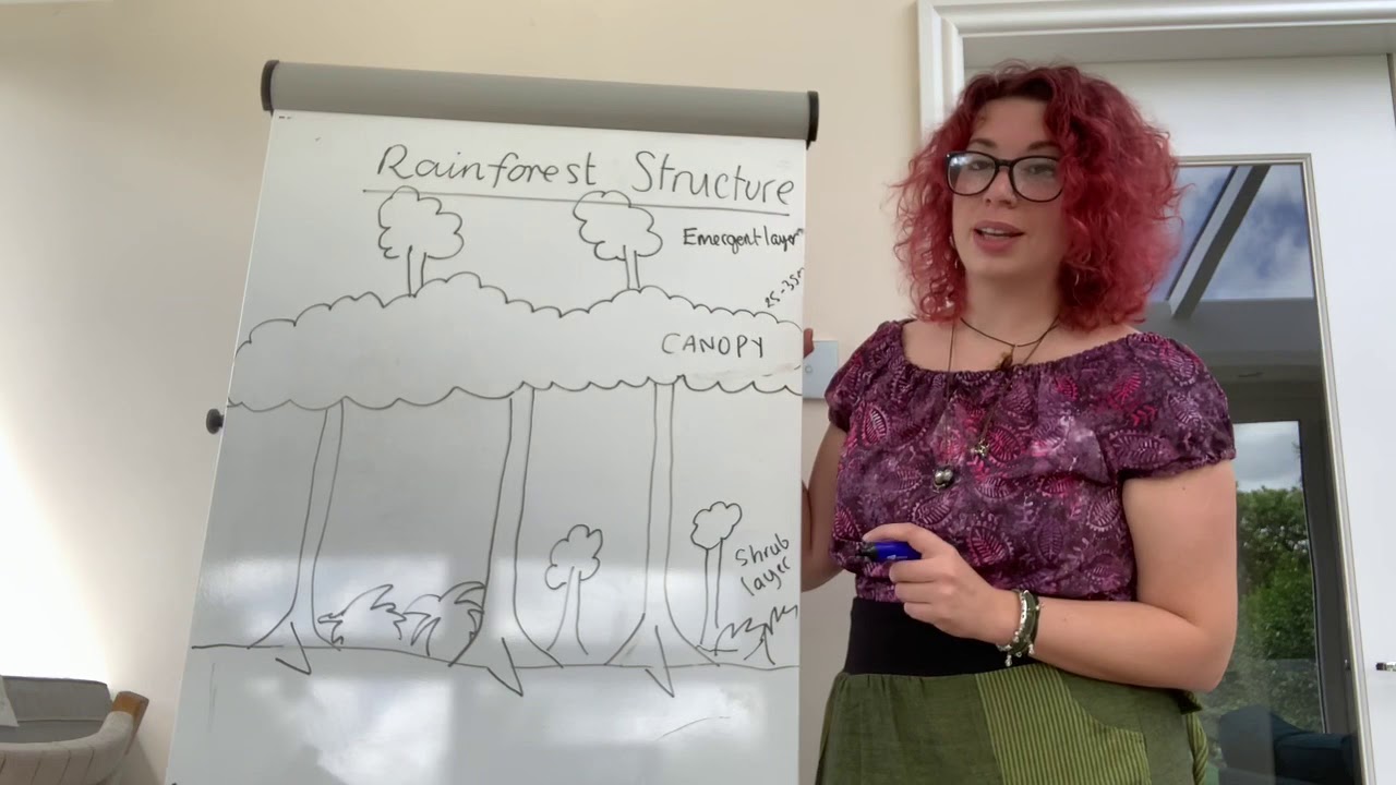 The Living World - Rainforest Structure