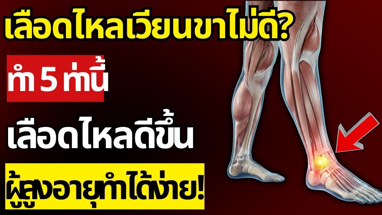 วัย 60+ ขาชา ขาบวม เลือดไหลเวียนไม่ดี? 1 ท่าบริหารนี้ช่วยได้ ทำง่ายมาก! | สุขภาพผู้สูงอายุ