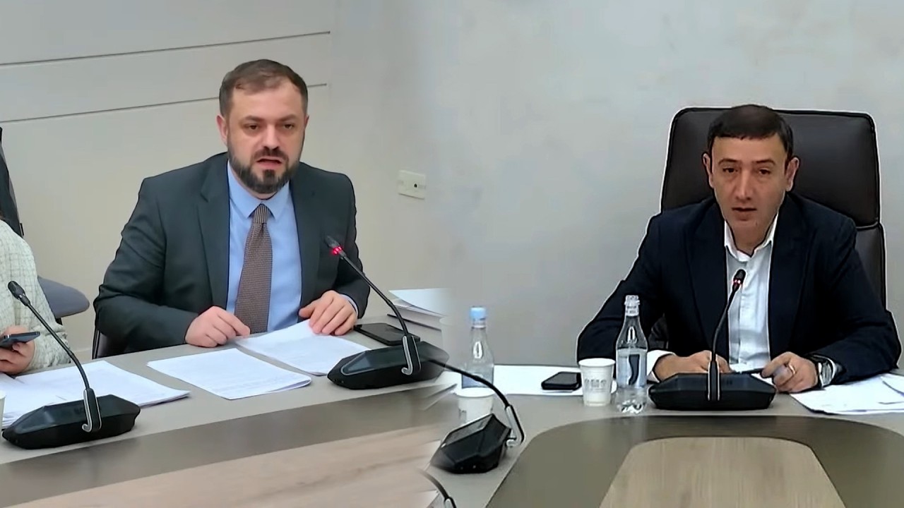 Չընկնենք ծայրահեղությունների մեջ՝ էպիկ դարձած գովազդներ կան, որոնք չեն արգելվում.Թունյանը՝ Պապոյանին