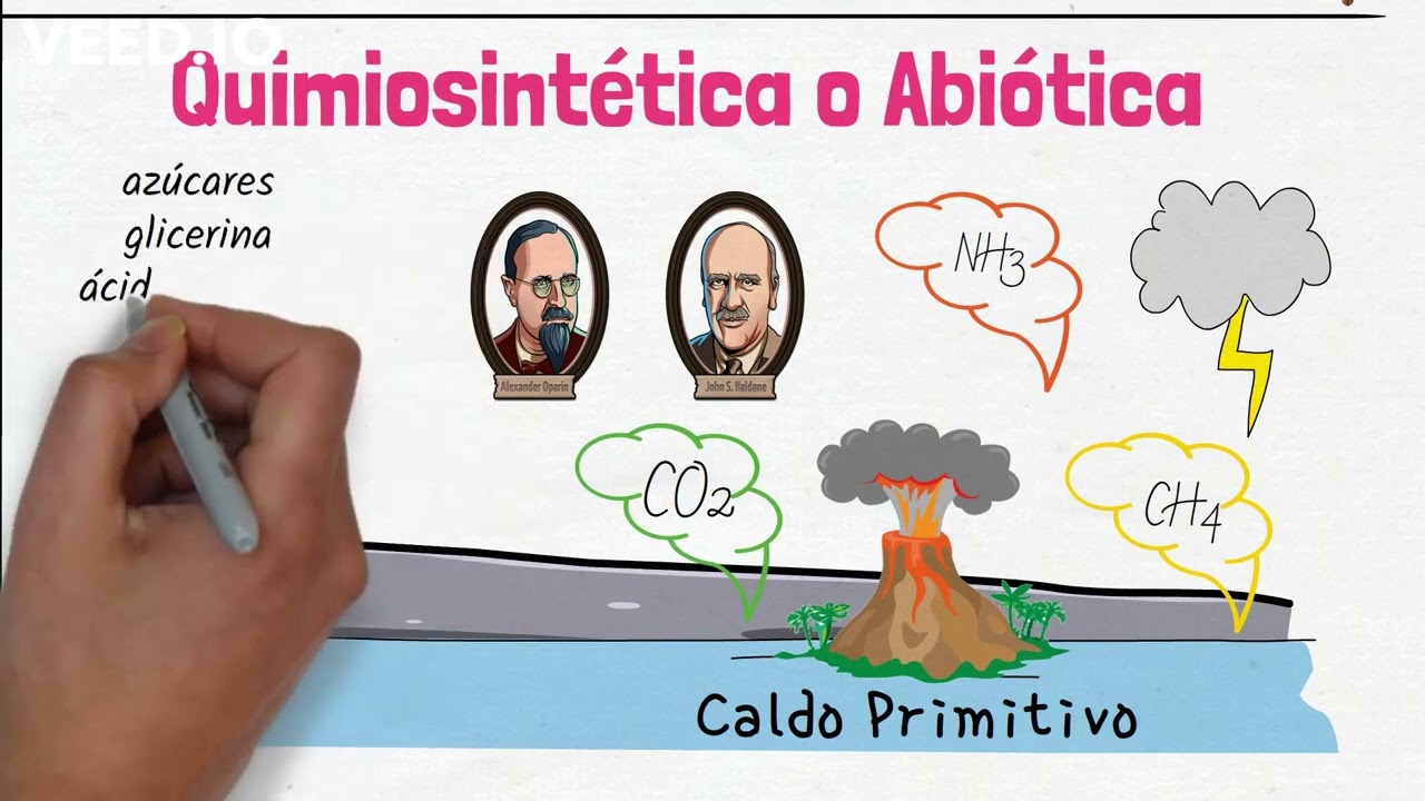 TEOR&Iacute;A QUIMIOSINT&Eacute;TICA