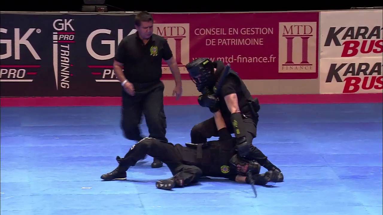 Exhibición Artes Marciales  París 2015, Bricpol