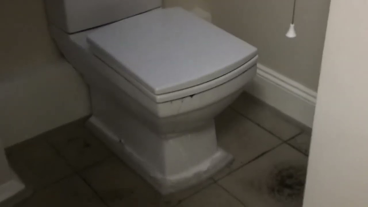 Toilet Flood