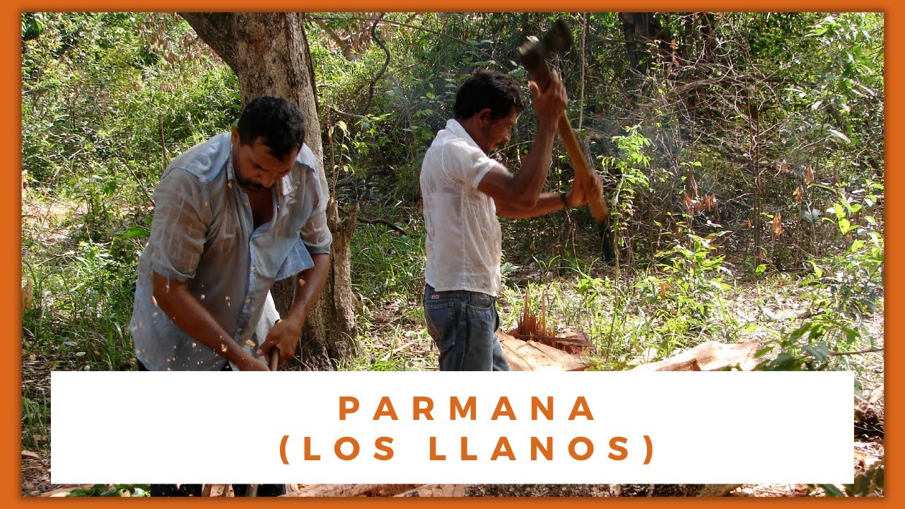 NC PARMANA. Guárico, Orinoco, Los Hileros, casabe, pesca artesanal, vaquerías, arqueología, joropo.