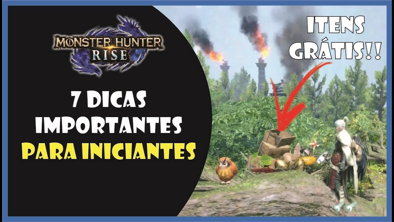 7 dicas IMPORTANTES para iniciantes