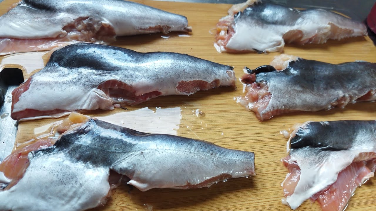 Como limpar um Bagre pequeno e aproveitar o máximo de carne !