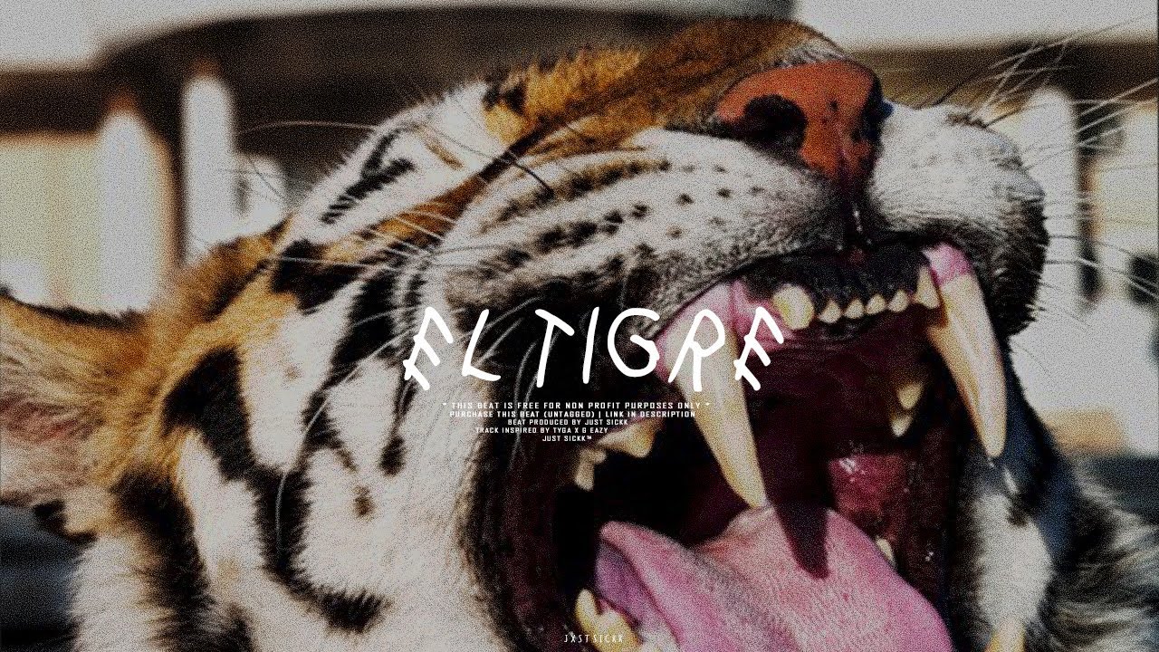 [FREE] G-Eazy x Tyga Type Beat - El Tigre | Club Banger Instrumental | Free Club Type Beat 2022