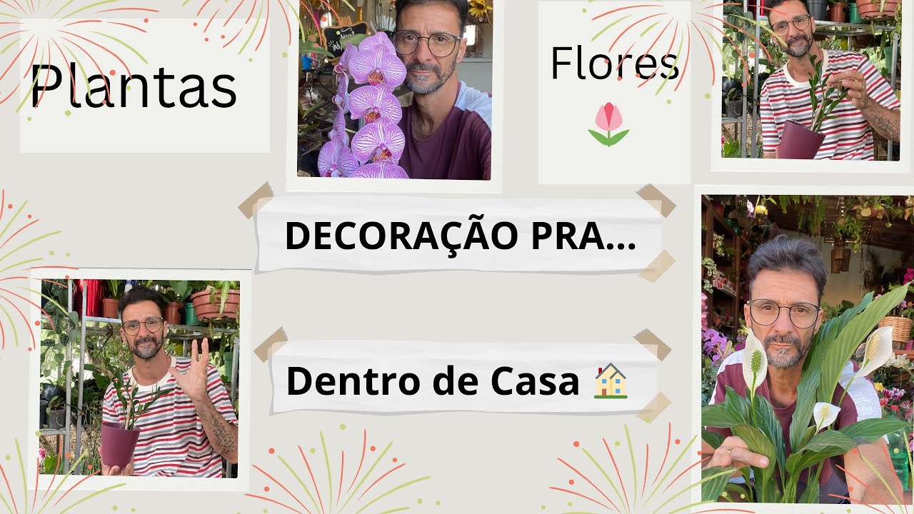  Decoração pra … Dentro de Casa 🏠 . Com Plantas , Flores 🌷.
