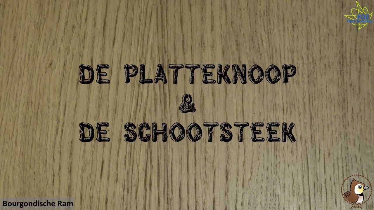 Knopen 02: De platte knoop & Schootsteek
