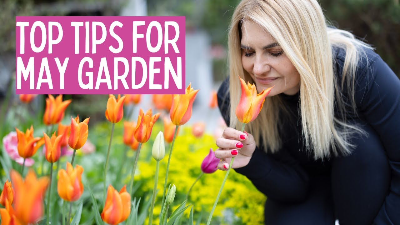 Прогулка по саду в конце апреля: советы и рекомендации | Повреждения от заморозков | Многолетники...