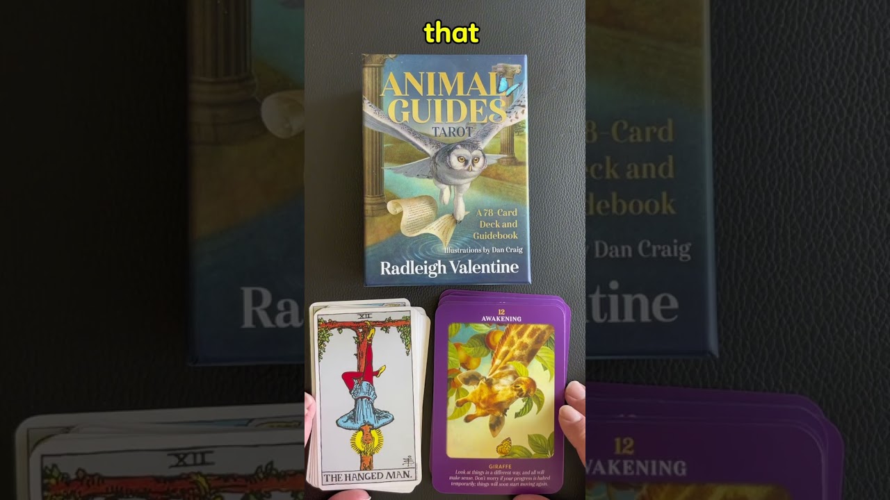 Animal Guides Tarot - Flip Through