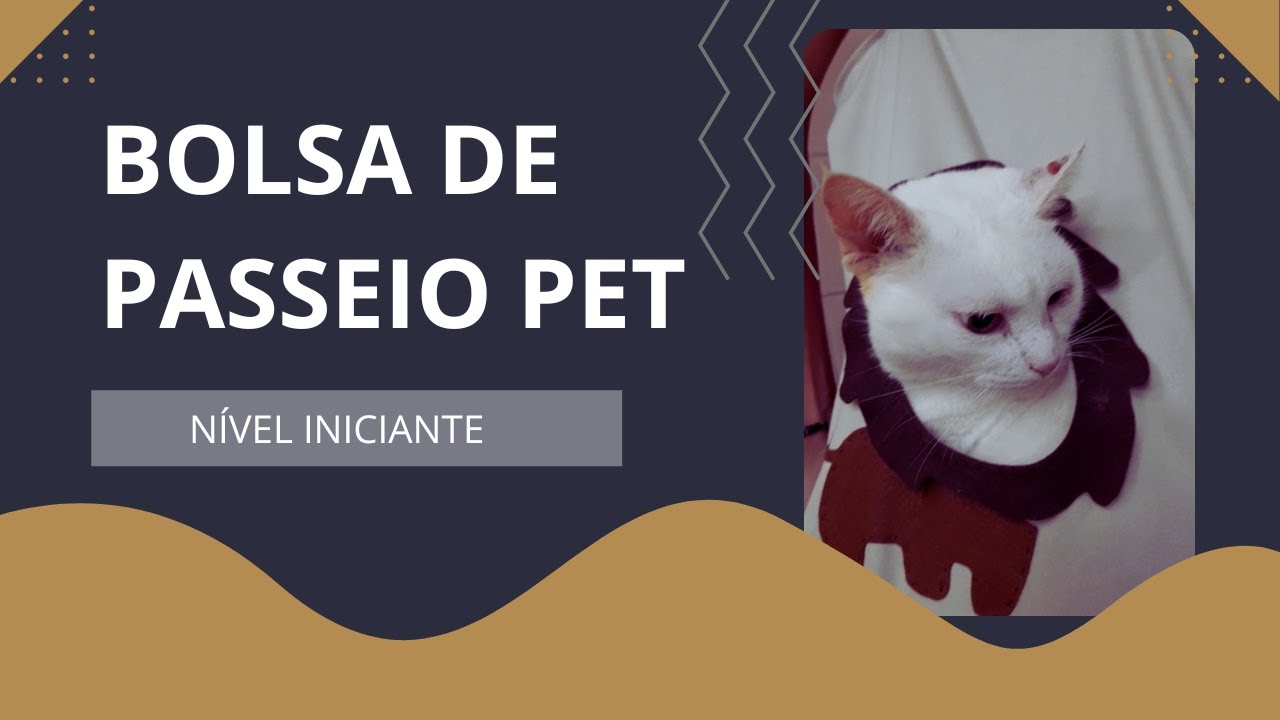 BOLSA DE PASSEIO PARA GATOS #costuracriativa #bolsa #pets