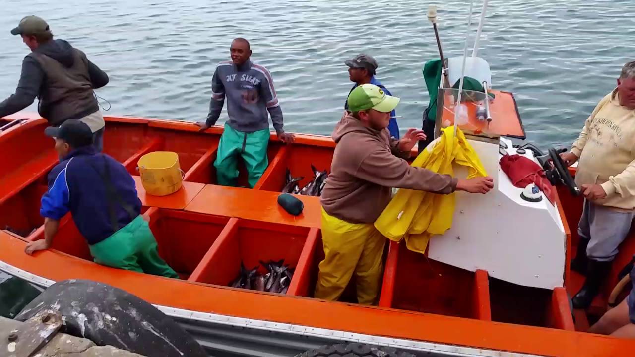 Snoek tyd Lambertsbaai!