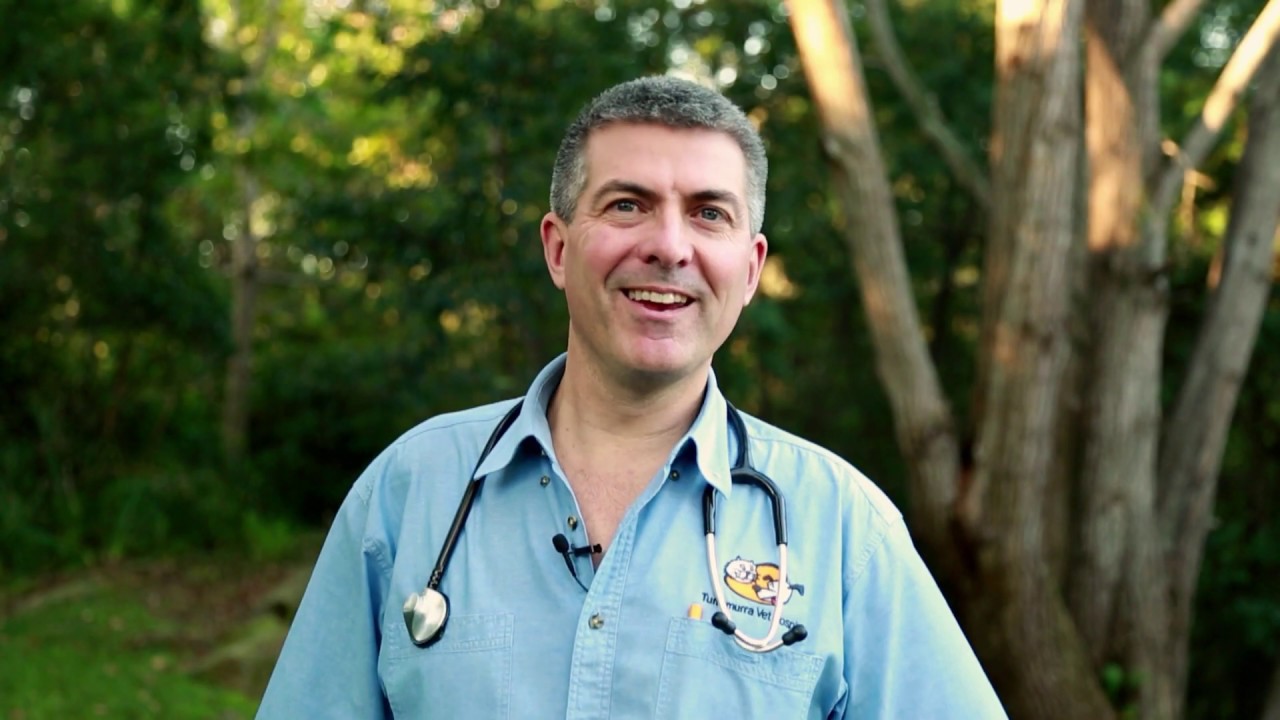 Tick Paralysis Prevention Advice from Turramurra Veterinary Hospital