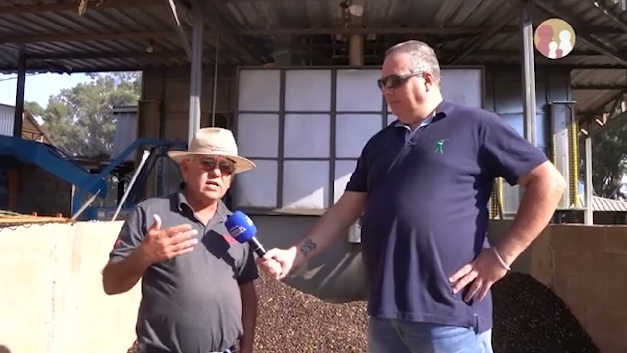 CAFÉ - SECADOR REALIZA A SECA DO CAFÉ CEREJA EM MENOS DE 24 HORAS