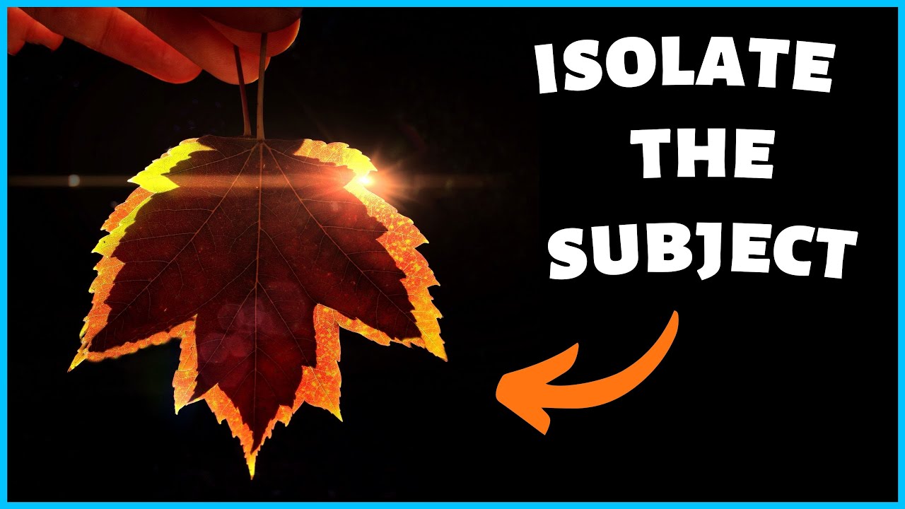 Isolate the Subject Composition -  add to the story & visual impact