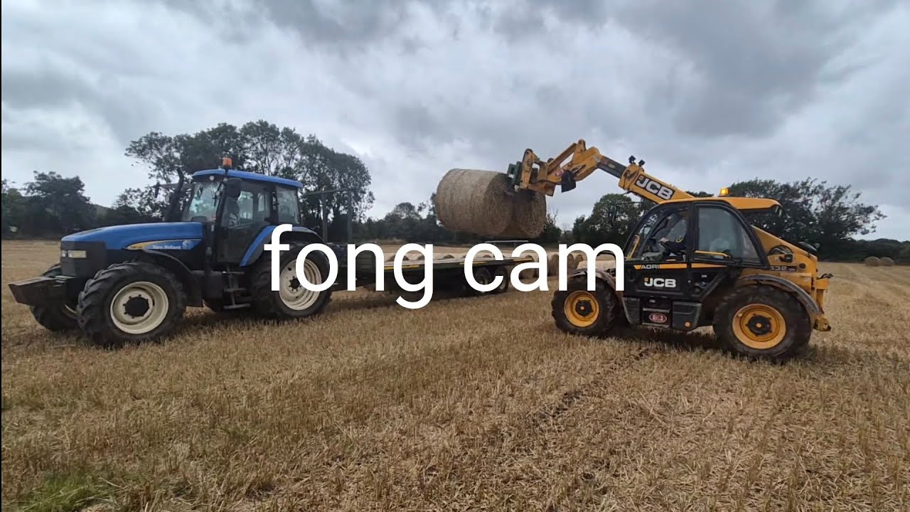 day 7 straw cattle and fong cam