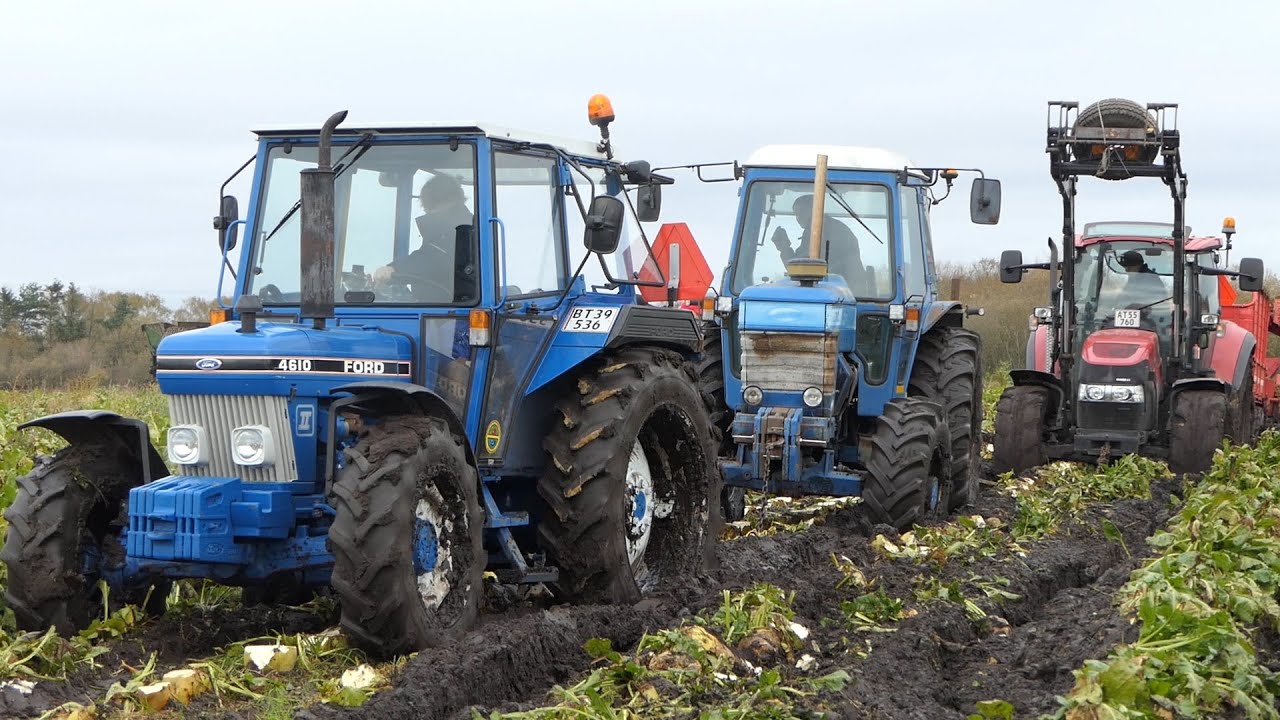 WORST CONDITIONS for Sugarbeet Harvest | Real MUDDY Fields | Ford 4610, 6710 & Case IH 105U | Agri