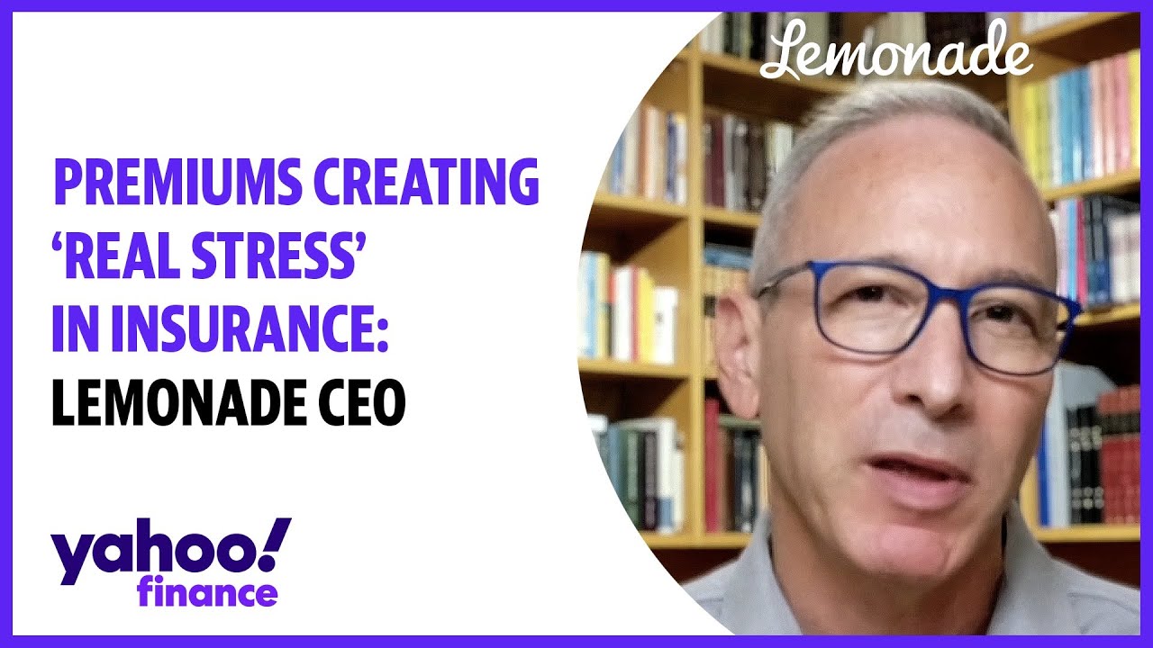 Premiums creating 'real stress' in insurance: Lemonade CEO